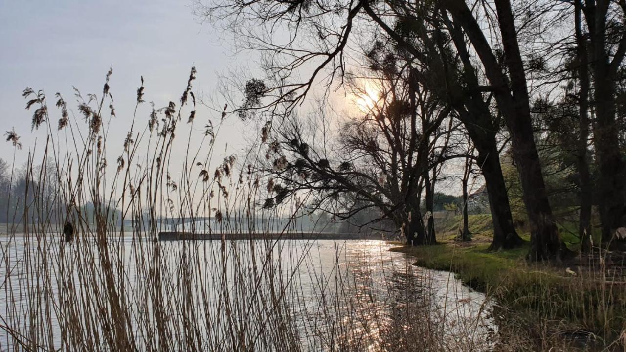 Le Moulin Du Port Bed & Breakfast Saint-Georges-sur-Cher Exterior foto